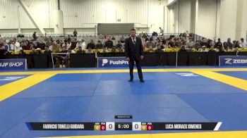LUCA MORAES XIMENES vs FABRICIO TONELLI GUIDARA 2025 World IBJJF Jiu-Jitsu No-Gi Championship