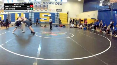 285 lbs Semifinals (8 Team) - Bradley Sealander, Hagerty vs Liam Higgins, Wellington Community Hs