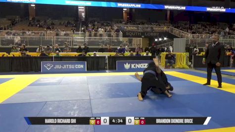 Brandon Diondre Brice vs Harold Richard Shi 2025 Pan Jiu Jitsu IBJJF Championship