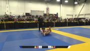 Diego Francisco Ledezma Val vs Alexander Fetisov 2024 World IBJJF Jiu-Jitsu No-Gi Championship