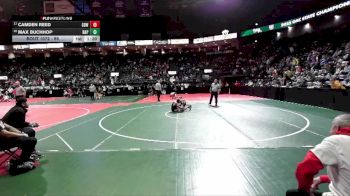 95 lbs Champ. Round 1 - Camden Reed, GBW1 vs Max Buchhop, NAP2