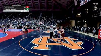1A-285 lbs Champ. Round 1 - Levi Palmer, Vidalia vs Aubrey Carter, Brantley County HS