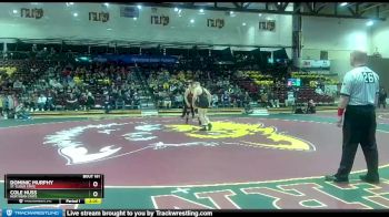 197 lbs 1st Place Match - Dominic Murphy, St. Cloud State vs Cole Huss, Northern State