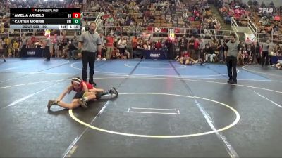 80 lbs Quarterfinal - Amelia Arnold, Centerburg vs Carter Morris, Watkins Memorial