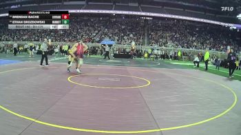 D1-175 lbs Cons. Round 1 - Brendan Bache, Livonia Franklin vs Ethan Drozdowski, Warren Mott HS