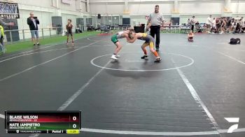 88 lbs Finals (2 Team) - Nate Iampietro, Revolution Elite vs Blaise Wilson, Revolution/WVW