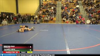 80 lbs Round 1 - Tucker Lueck, Pursuit Wrestling Minnesota vs Breckin Falb, Moyer Elite