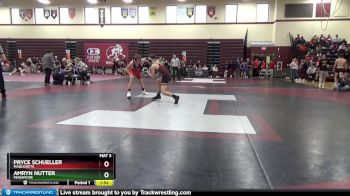 126 lbs Round 2 - Amryn Nutter, Fennimore vs Pryce Schueller, Maquoketa