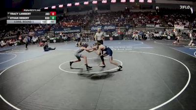 D 1 106 lbs Cons. Round 1 - Ethan Hebert, H.L. Bourgeois vs Tracy Lambert, John Ehret