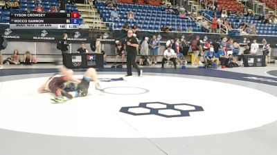 138 lbs Champ. Rd Of 32 - Tyson Crowsey, Texas vs Rocco Gannon, Washington