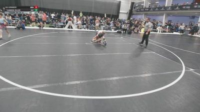 84 lbs Champ. Rd Of 32 - Cannon Ziller, Alber Athletics vs Eli Lovasco, Monster Garage