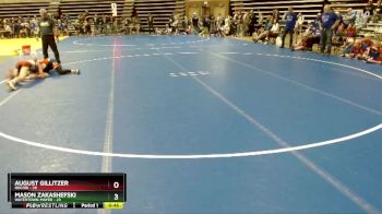102 lbs Finals (8 Team) - Mason Zakashefski, Watertown-Mayer vs August Gillitzer, Rocori