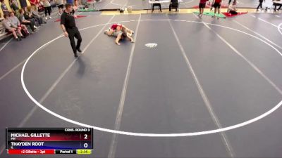 175 lbs Cons. Round 3 - Michael Gillette, MN vs Thayden Root, IL