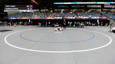 103 lbs Quarterfinal - Zoey Haney, Indiana Tech vs Isabelle Apple, Grand View
