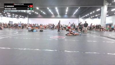 115 lbs Round 2 (4 Team) - Michael Hovis, Well Trained vs CJ Weidman, Team Palmetto