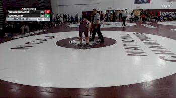 125 lbs 3rd Place Match - Dominick Marre, Central vs Ethan Aird, Augsburg