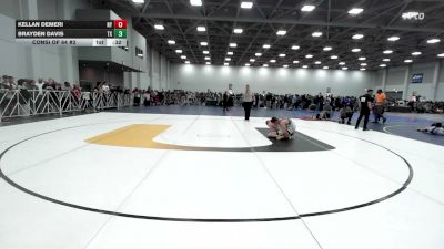 113 lbs Consi Of 64 #2 - Kellan Demeri, NY vs Brayden Davis, TX