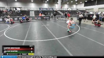 130 lbs Quarterfinal - Carter Birdyshaw, WI vs Kelton Shaffer, MO