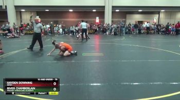 75 lbs Quarterfinal - River Chamberlain, Prodigy Wrestling Academy vs Hayden Downing, NEWC