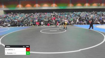 190 lbs Quarterfinal - David Calkins, Liberty vs Levi Bussey, Granite Bay