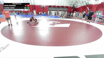 113 lbs Placement Matches (8 Team) - Gabriel White, Cameron vs Colin Johansen, Batavia A