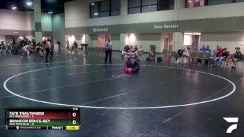 170 lbs Round 3 (6 Team) - Tate Trauthwein, FCA Empowered vs Brandon Bruce-Bey, Ohio Titan Blue