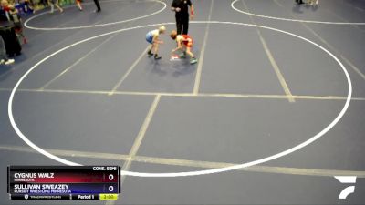 53 lbs Cons. Semi - Cygnus Walz, Minnesota vs Sullivan Sweazey, Pursuit Wrestling Minnesota