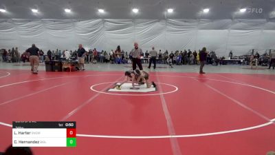 74 lbs Consi Of 8 #2 - Lane Harter, Snow Shoe vs Chase Hernandez, Biglerville