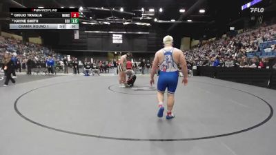 285 lbs Champ. Round 1 - Stephen Carroll, Overland Park - St. Thomas Aquinas HS vs Gunner Davis, Andover