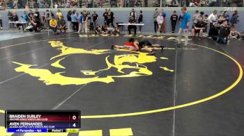 92 lbs Quarterfinal - Braiden Surley, Anchor Kings Wrestling Club vs Aven Fernandes, Alaska Battle Cats Wrestling Club