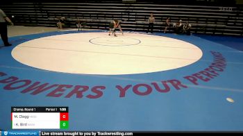 155 lbs Champ. Round 1 - Kate Bird, Wasatch vs Mackinzie Clegg, Northridge