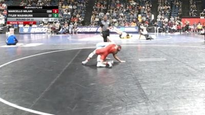 125 lbs Round Of 32 - Marcello Milani, Cornell vs Tyler Washburn, The Citadel