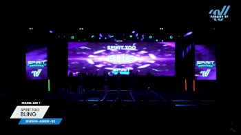 Spirit Too - Bling [2024 L1 Junior - D2 Day 1] 2024 Spirit Fest Grand Nationals