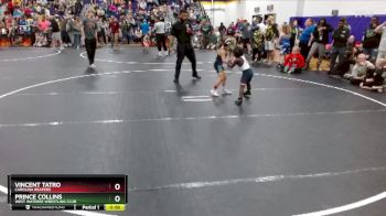 53 lbs 3rd Place Match - Prince Collins, West Wateree Wrestling Club vs Vincent Tatro, Carolina Reapers