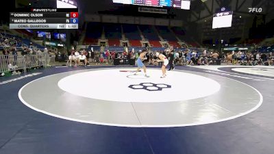120 lbs Cons. Quarters - Dominic Olson, NE vs Mateo Gallegos, PA
