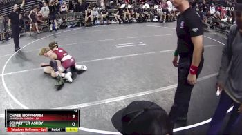 95 lbs Quarterfinals (8 Team) - Chase Hoffmann, Minnesota Maroon vs Schaeffer Ashby, Utah