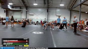 64 lbs Round 1 (6 Team) - Madelyn Rodriguez, Level Up vs Aria Bushaw, Team Palmetto