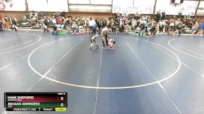 49 lbs Quarterfinal - Brogan Ashworth, JWC vs Hank Shepherd, Spanish Fork