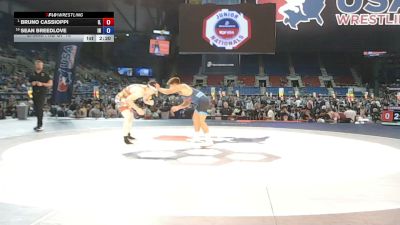 175 lbs Champ. Rd Of 16 - Bruno Cassioppi, Illinois vs Sean Breedlove, Indiana