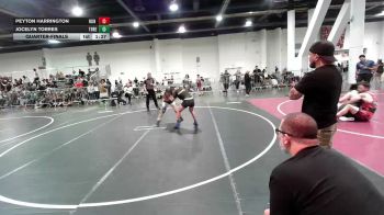 109 lbs Quarterfinal - Peyton Harrington, Run To Danger vs Jocelyn Torres, Threshold WC