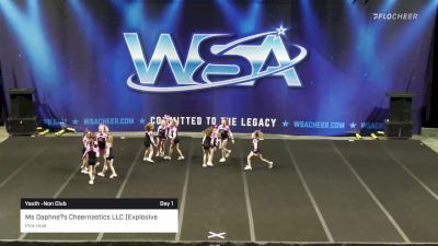 Ms Daphne?s Cheernastics LLC (Explosive Allstars) - Pink Heat [2022 L2 Youth -Non Club Day 1] 2022 WSA Mobile