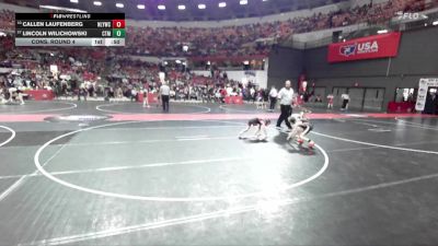 69 lbs Cons. Round 4 - Lincoln Wilichowski, Stanley-Boyd vs Callen Laufenberg, New London Youth Wrestling Club