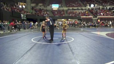 65 lbs Quarterfinal - Audrina Summers, Touch Of Gold vs Elly Cheff, Ronan Wrestling Club