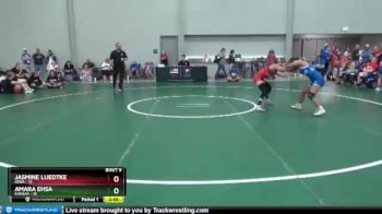 106 lbs 2nd Wrestleback (8 Team) - Jasmine Luedtke, Iowa vs Amara Ehsa, Kansas