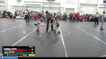 52 lbs Finals (2 Team) - Gabriel Vanek, Neighborhood vs Zoey Eicher, Phoenix