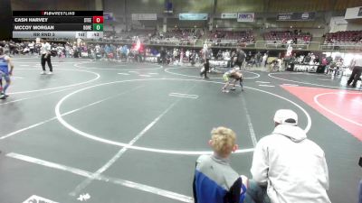 49 lbs Rr Rnd 3 - Cash Harvey, Steel City Reloaded WC vs McCoy Morgan, Dove Creek WC