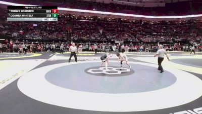 126 lbs Semis - Conner Whitely, St. Edward vs Tommy Wurster, Dub. Coffman