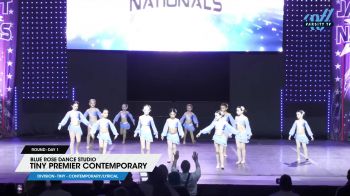 Blue Rose Dance Studio - Tiny Premier Contemporary [2025 Tiny - Contemporary/Lyrical Day 1] 2025 JAMfest Dance Super Nationals