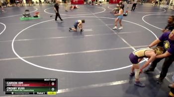 117 lbs Cons. Round 3 - Carson Kim, JARO Wrestling Academy vs Crosby Kuss, Blaine Wrestling Association