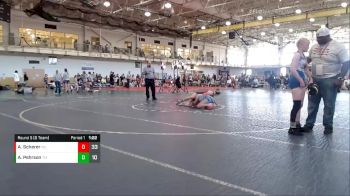 117 lbs Round 5 (6 Team) - Aubrie Pehrson, Team Minnesota vs Audrey Scherer, Missouri Gold